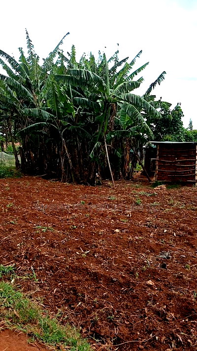Land for Sale at Musembe Market - Image 2