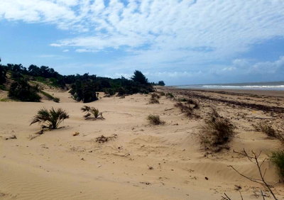 Oceanfront 1/2 Acre in Malindi