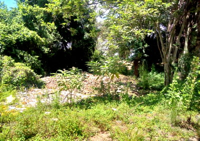 KSh 1B Kilimani Land Deal