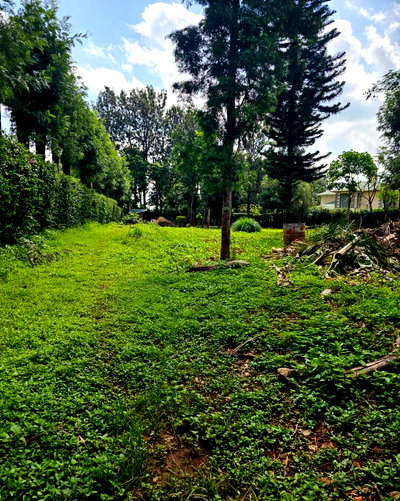 Garden Plot with Parking - Thome
