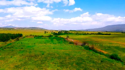Good Views, 50 by 100 Plots ,Naivasha, 1.3km From Tarmac - Image 2