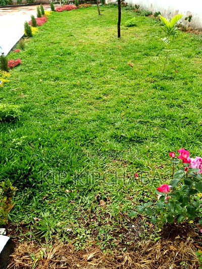 5bdrm Mansion in Racecours, Racecourse for sale - Image 12