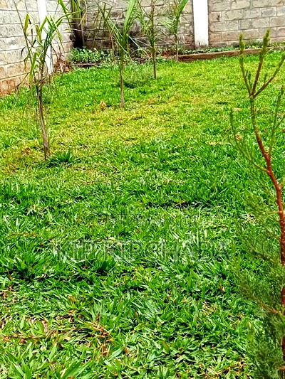 5bdrm Mansion in Racecours, Racecourse for sale - Image 13