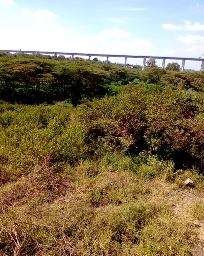 KSh 3.5M 1/8 Acre Plots in Kandisi