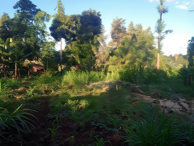 Nanyuki Marura Chuma