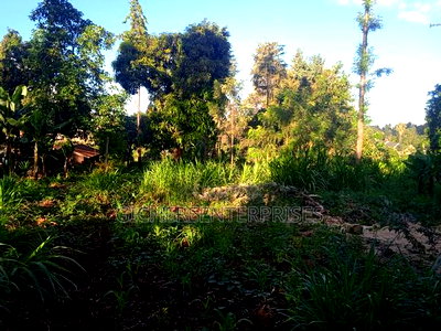 Nanyuki Marura Chuma - Image 2