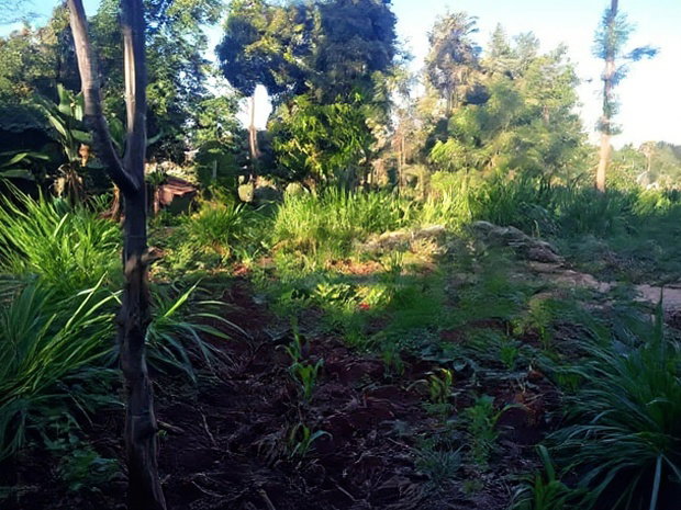 Nanyuki Marura Chuma