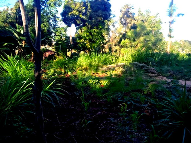 Nanyuki Marura Chuma