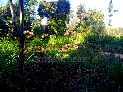 Nanyuki Marura Chuma - Image 3