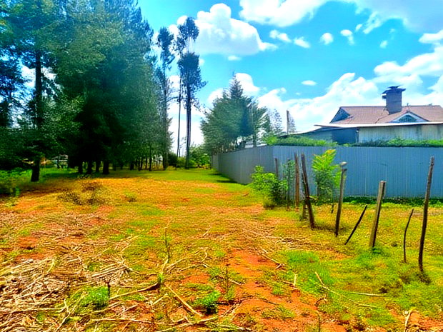 Nanyuki Marura Chuma