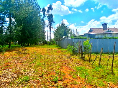 Nanyuki Marura Chuma - Image 4