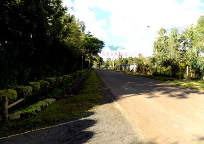 KSh 320M Commercial Gem in Karen