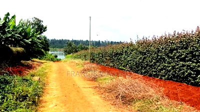 One Acre in Mugutha Ruiru,Neighbouring Githegi Bay - Image 15