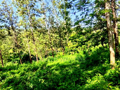 One Acre in Mugutha Ruiru,Neighbouring Githegi Bay - Image 9
