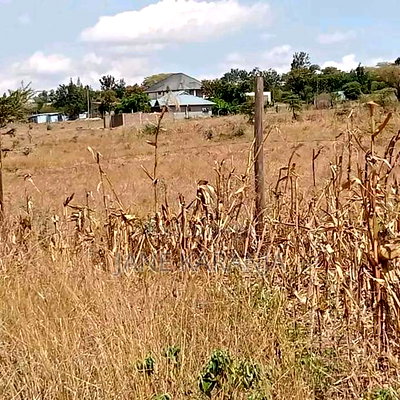 Distress 40 by 80 Plot at Malaa Shopping Center - Image 2