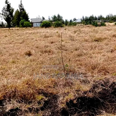 Distress 40 by 80 Plot at Malaa Shopping Center - Image 1