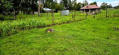Plot for Sale Outspan Eldoret 60 Metres From Highway - Image 5