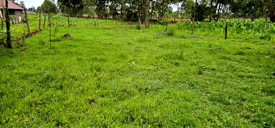Plot for Sale Outspan Eldoret 60 Metres From Highway - Image 4