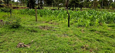 Plot for Sale Outspan Eldoret 60 Metres From Highway - Image 3