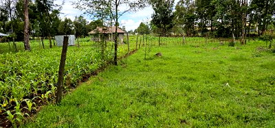 Plot for Sale Outspan Eldoret 60 Metres From Highway - Image 10