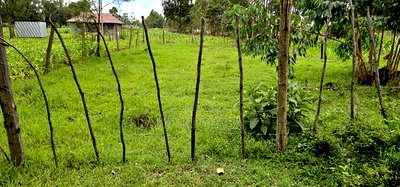 Plot for Sale Outspan Eldoret 60 Metres From Highway - Image 8