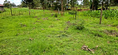 Plot for Sale Outspan Eldoret 60 Metres From Highway - Image 7