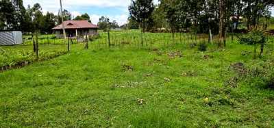 Plot for Sale Outspan Eldoret 60 Metres From Highway - Image 6