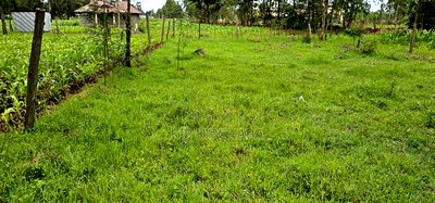 Plot for Sale Outspan Eldoret 60 Metres From Highway - Image 1