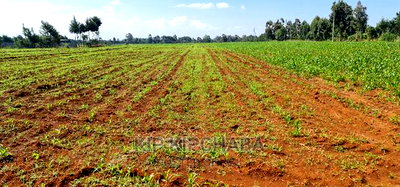 2 Acres For Sale In Moiben Junction Sergoit In Eldoret - Image 1