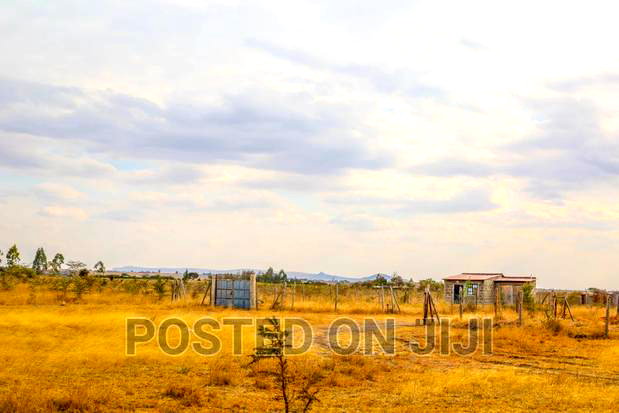1/8 Acre Plot in Kantafu - Malaa