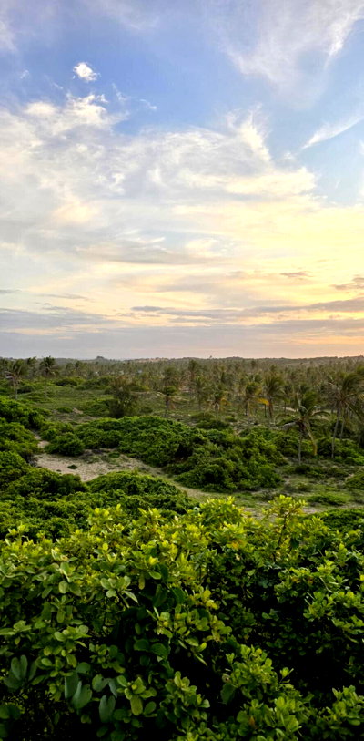 55-Acre Beach Land in Ngomeni