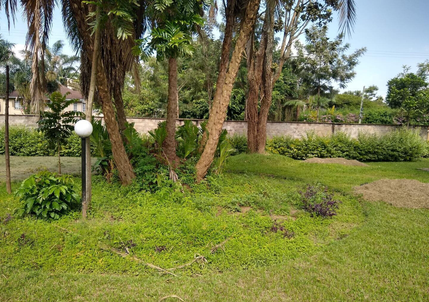 Half Acre Garden Home at KSh 300K