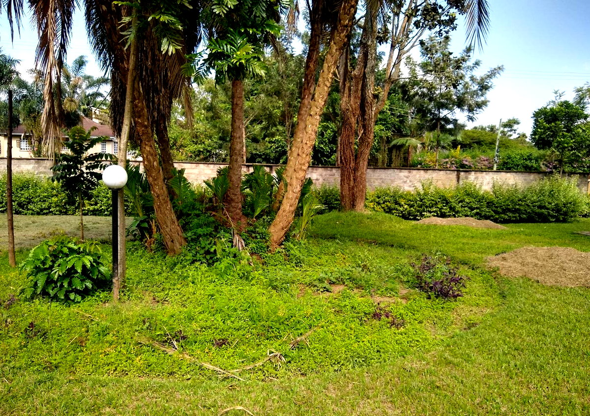 Half Acre Garden Home at KSh 300K