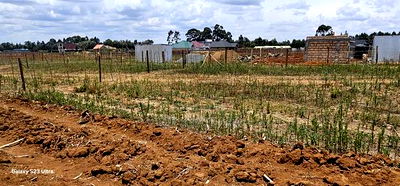 Plots For Sale Eldoret Kiplombe Kibulgeny - Image 3