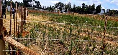 Plots For Sale Eldoret Kiplombe Kibulgeny - Image 6