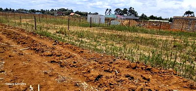 Plots For Sale Eldoret Kiplombe Kibulgeny - Image 1