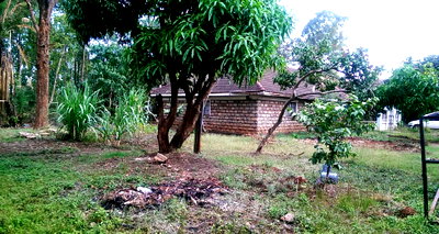 Garden Estate Plot at KSh 40M