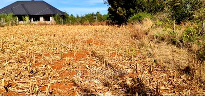 Big 1/4 Plot for Sale in Chepkanga Willow Tree Eldoret - Image 13