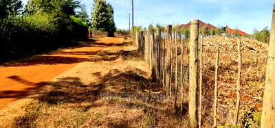 Big 1/4 Plot for Sale in Chepkanga Willow Tree Eldoret - Image 16