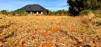 Big 1/4 Plot for Sale in Chepkanga Willow Tree Eldoret - Image 3