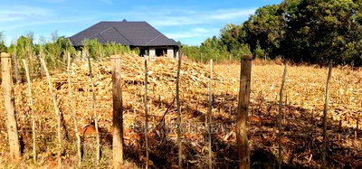 Big 1/4 Plot for Sale in Chepkanga Willow Tree Eldoret - Image 5