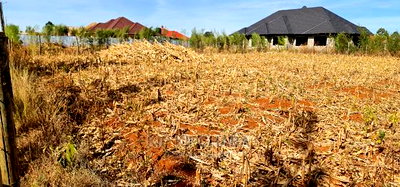 Big 1/4 Plot for Sale in Chepkanga Willow Tree Eldoret - Image 18