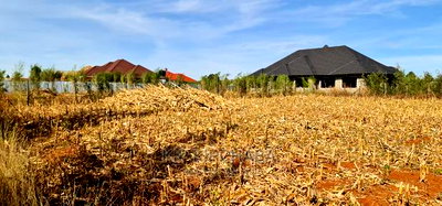 Big 1/4 Plot for Sale in Chepkanga Willow Tree Eldoret - Image 2