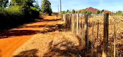 Big 1/4 Plot for Sale in Chepkanga Willow Tree Eldoret - Image 8