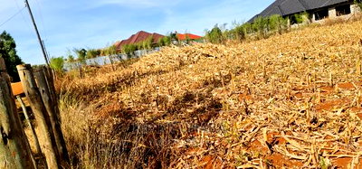 Big 1/4 Plot for Sale in Chepkanga Willow Tree Eldoret - Image 10