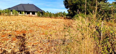 Big 1/4 Plot for Sale in Chepkanga Willow Tree Eldoret - Image 20