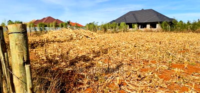 Big 1/4 Plot for Sale in Chepkanga Willow Tree Eldoret - Image 1