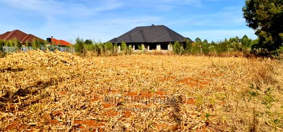 Big 1/4 Plot for Sale in Chepkanga Willow Tree Eldoret - Image 17