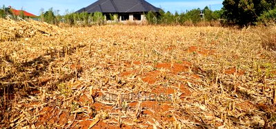 Big 1/4 Plot for Sale in Chepkanga Willow Tree Eldoret - Image 11