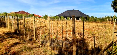 Big 1/4 Plot for Sale in Chepkanga Willow Tree Eldoret - Image 19